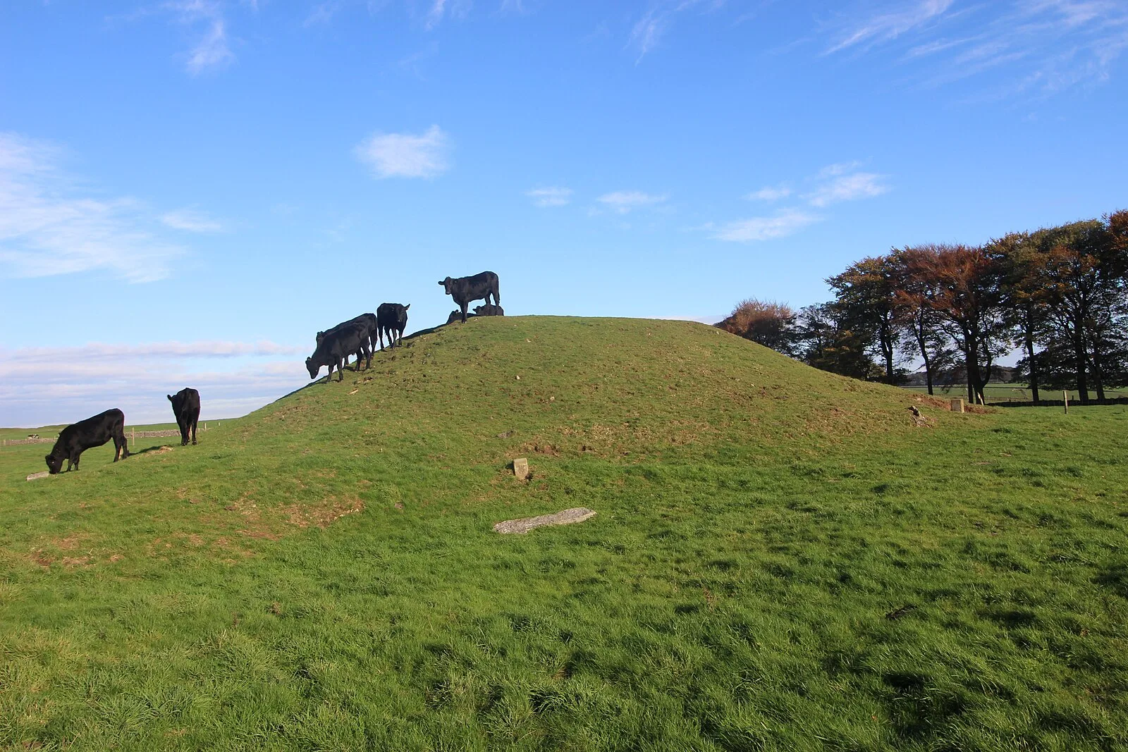 Gib Hill